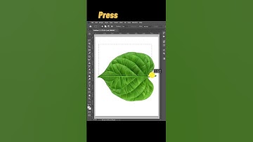 Adobe Photoshop 2025 Tricks Edit Image With Create Clipping Mask Tool  #photoshop