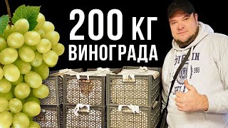 ГРАППА ИЗ 200 КГ ВИНОГРАДА