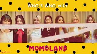 Whos Who With Momoland 