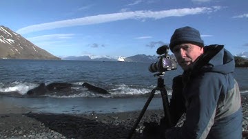 Art Wolfe: What to do With Bright Direct Light