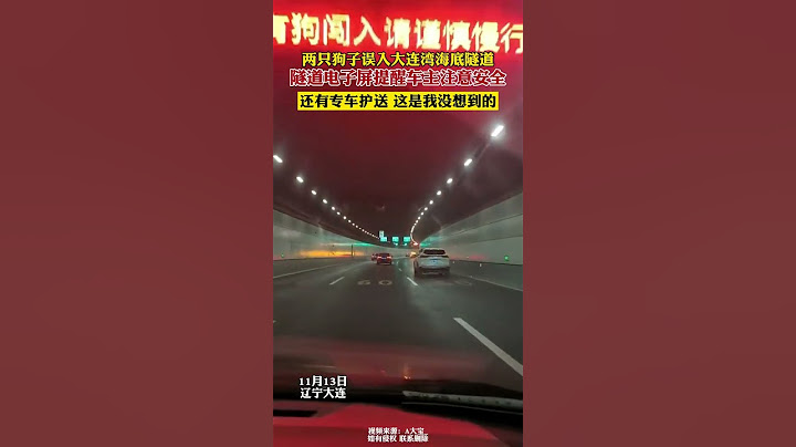 两只狗子误入大连湾海底隧道，隧道内电子屏提醒车主注意安全，还有专车护送，这是我没想到的。#shorts