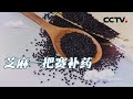 最强天然“染发剂” 黑芝麻居然有这些大功效！20210223 |《健康之路》CCTV科教