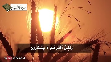 أواخر سورة النمل ( أمن يجيب المضطر ) / محمد اللحيدان