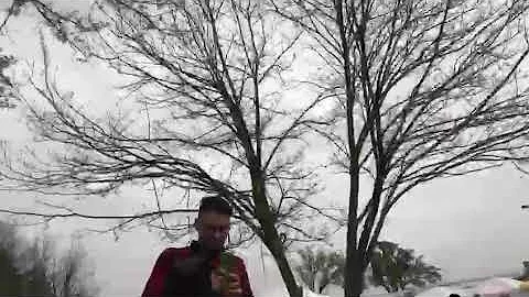 Dove si trovano i tulipani a Roma?