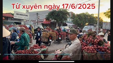 Cập nhật giá vải ngày 17/6/2025 tại Từ xuyên lục ngạn Bắc Giang