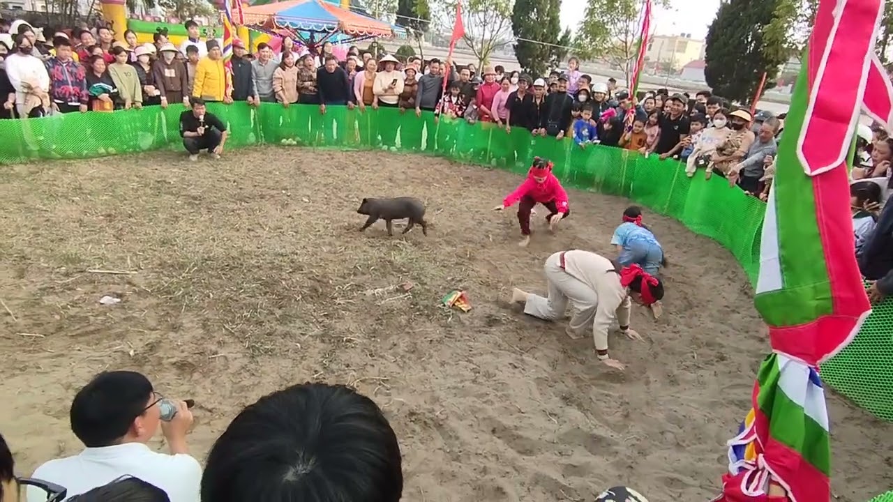 Bịt mắt bắt lợn