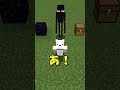 【検証】これらの共通点はな～んだ？①【マイクラ】【ゆっくり実況】