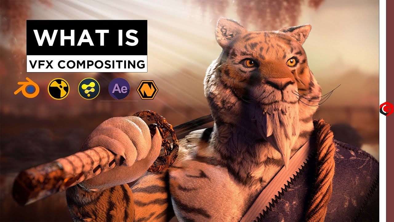 software in 2024. Nuke vs Blender vs Fusion vs after