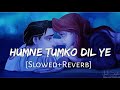Humne Tumko Dil Ye De Diya Slowed Reverb Gunaah Alka Yagnik Babul Supriyo Lofi Music Channel Humne Tumko Dil Ye De Diya Slowed Reverb Gunaah Alka Yagnik Babul Supriyo Lofi Music Channel