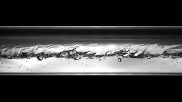Horizontal Two-Phase R-123 Slug Flow: V008L08-2.mpg