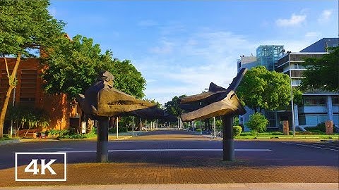 【4K】Exploring National Cheng Kung University Kuang-Fu Campus, Tainan, Taiwan ｜探索成大光復校區｜Ambient Sound