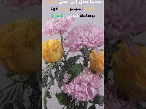 عندما تصل إلى عمق معنى كلمة الن جاح تجد أن ها ببساطة تعني الإصرار