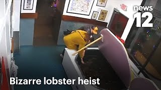 Couple steals live lobster from restaurant tank after being asked to leave for vaping | News 12