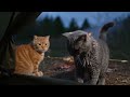 🔥 Campfire Cat The Feline Who Mastered Fire
