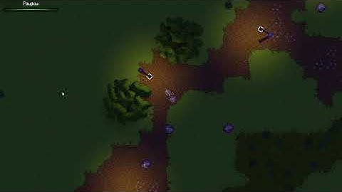 ProjectW: random path exploration