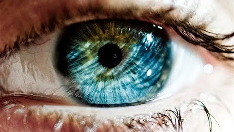 UNL CSE Eye Tracking App Showcase Presentation 2019-20