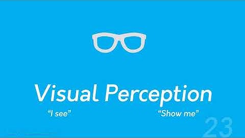 Visualization and the Human Brain