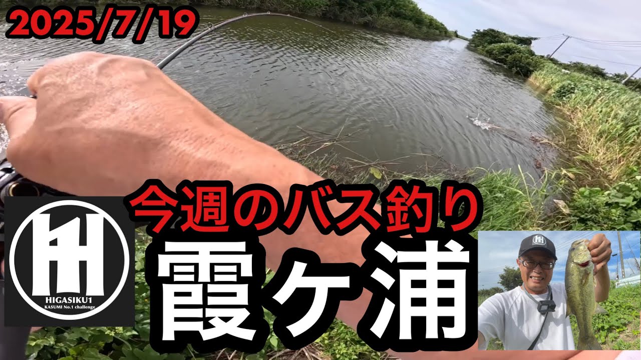 バス釣り今週の霞ヶ浦！2025年7月19日