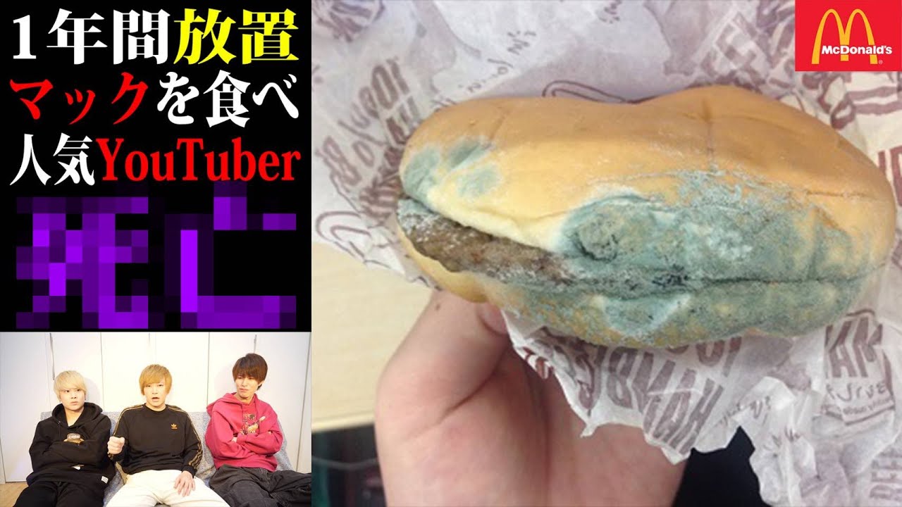 消えたハンバーガー こぐま 1年間放置して腐らせたハンバーガーを食べた超人気ユーチューバーの