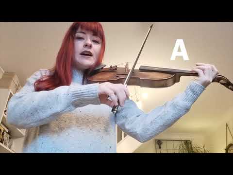 ANIMAL SONG with the Bow - open strings on the violin