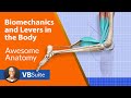 Biomechanics and Levers in the Body