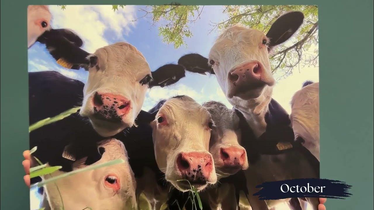 2025 IFA Calendar YouTube
