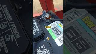 Infested Battery Terminals...