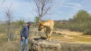 hiking in north Texas by Maria Moberg 23 views 1 year ago 20 seconds