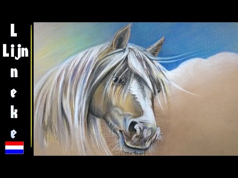 Video: Hoe Teken Je Een Paard Met Een Potlood?