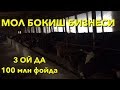 МОЛ БОКИШ БИЗНЕСИ. ХАКИКИЙ КУП ДАРОМАДЛИ ИШ!!