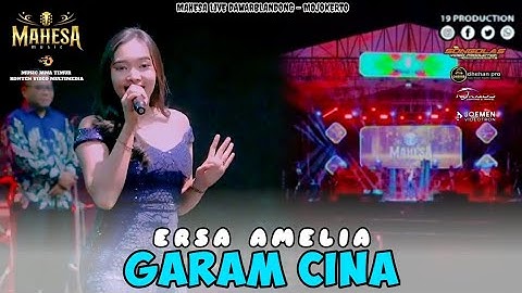 Garam Cina - Ersa Amelia | Mahesa Music Live Dawarblandong - mojokerto