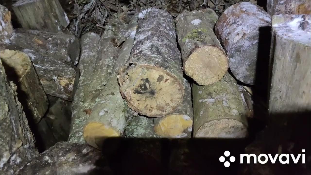 Дрова. Авито дрова. Купить дрова березники. Дрова забайкальского края. Куча колотых дров.