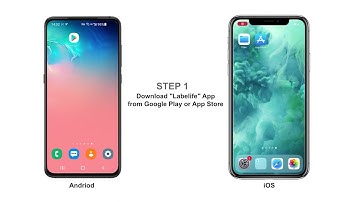 241 BT How to Print via Bluetooth
