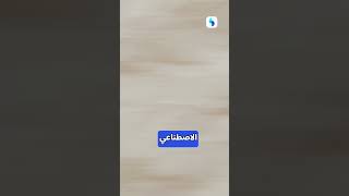 اكتب مقالاتك الان بالذكاء الاصطناعي?