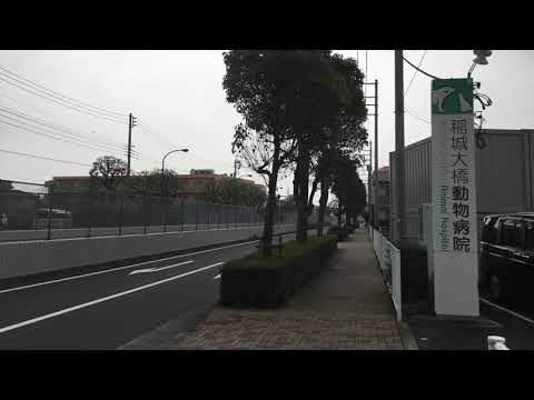 マーケットピア ｄｃｍくろがねや稲城押立店 稲城市 周辺施設 口コミ 写真 動画