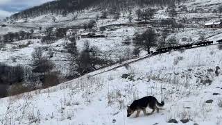 Qaraqoyunlu Deresi Mürteyil kendi.paylaşdı Mustafayev Ramin.💔