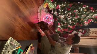 Christmas Hounds 2021 Let’s Go Brandon Puppies (❤️il Donald Trumpo & GoSammy uh huh too!)