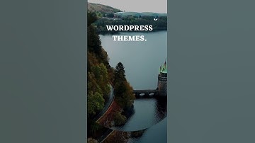 14 fastest WordPress themes.