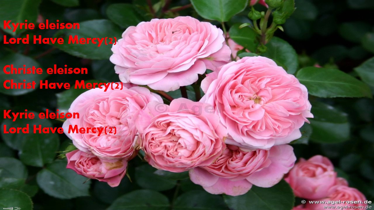 Kyrie Eleison (Lord Have Mercy) Parts of the Mass YouTube