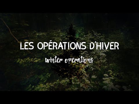 Our Forest, Our Future - Winter Operations