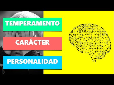 Vídeo: Temperamento Y Carácter: Tipos, Parentesco Y Principales Diferencias