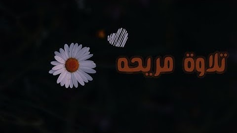 تلاوة مريحة قصيرة 🎧 || من سورة النساء || بصوت : القارىء شريف مصطفى #القرآن_الكريم