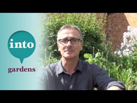 Know Your Weeds: Weeds Undercover