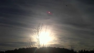 E-flight Apprentice 15e flight and a few acrobats