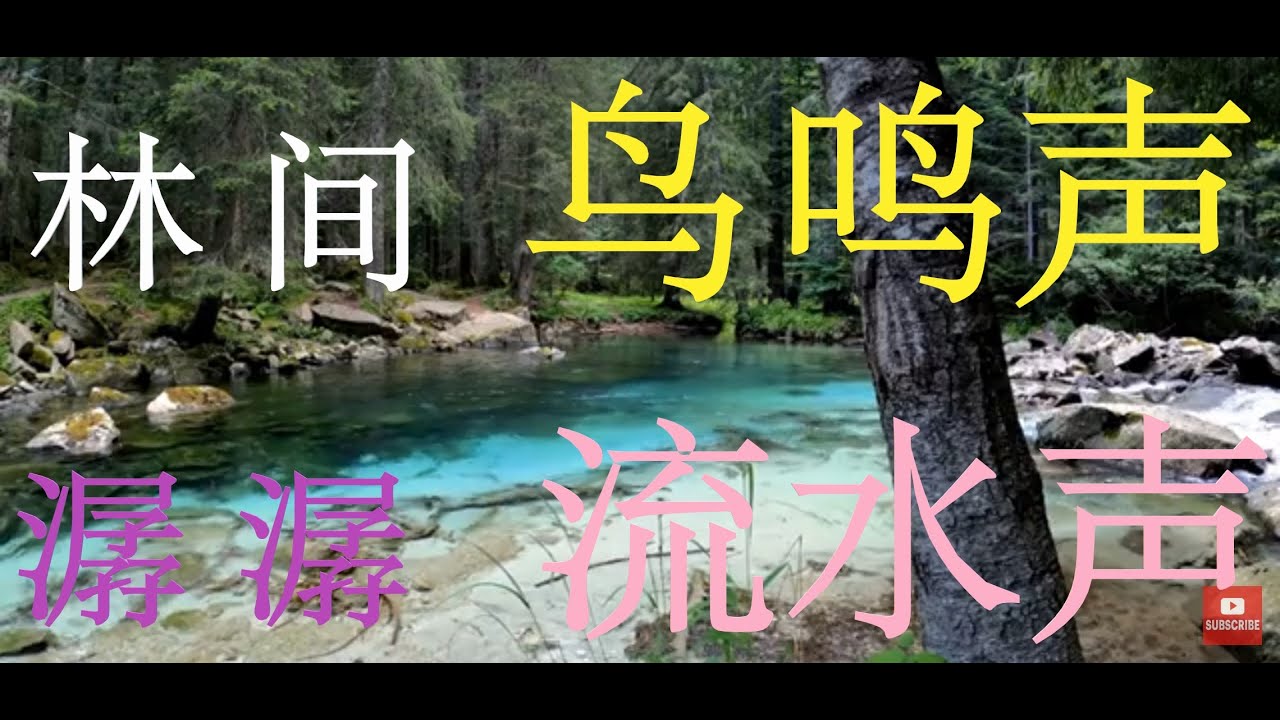 1 小时 林间鸟鸣声 潺潺的流水声 放松脑神经细胞 不到15分钟就睡着了 Youtube