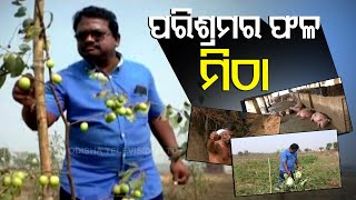 Hard Work Always Pays Off | Odisha Farmer Sets An Example screenshot 3