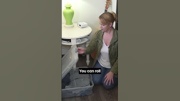 Walmart Organizers I recommend