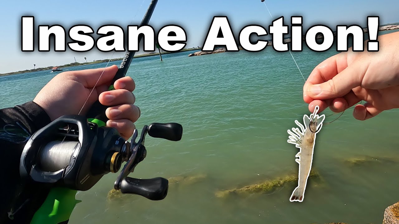 Fishing with Live Shrimp in Port Aransas, Texas (Saltwater Jetty