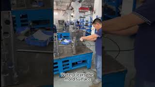 What Gets Washed Away | Mold Surface Cleaning Process