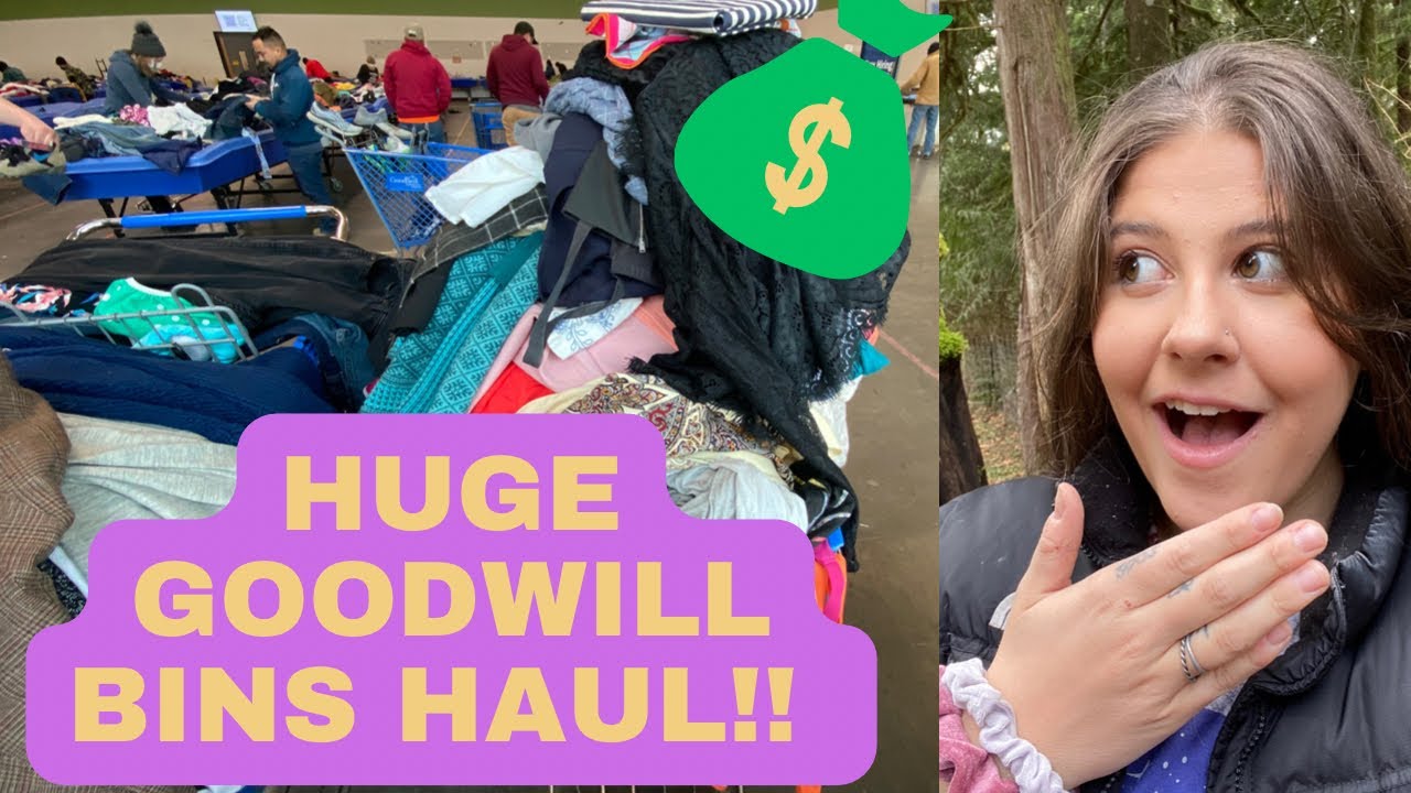 I CAN'T BELIEVE WHAT I FOUND AT THE BINS! Huge Goodwill Outlet Haul to